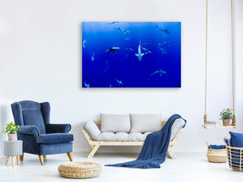 canvas-print-in-the-shark-tank