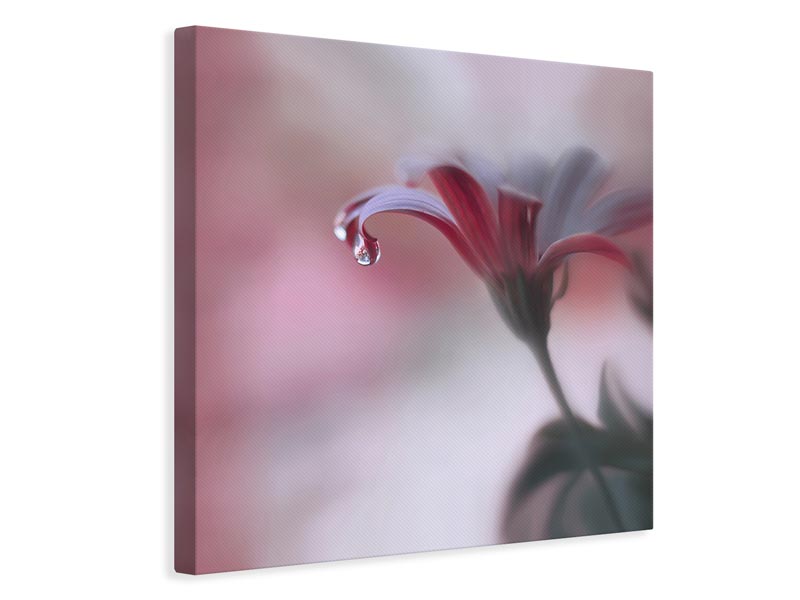 canvas-print-invisible-touch-x