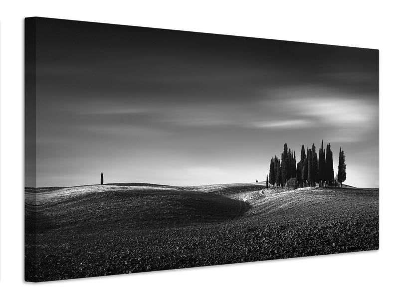 canvas-print-isolation-ii-x