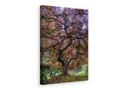 canvas-print-japanese-maple-tree