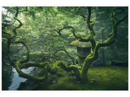 canvas-print-japanese-tree-x