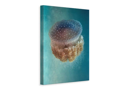 canvas-print-jellyfish-phylorhiza-punctata-x