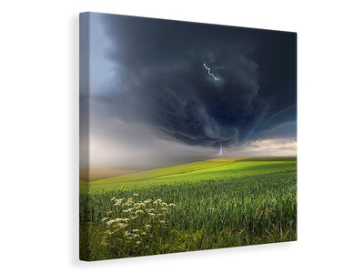 canvas-print-june-storm