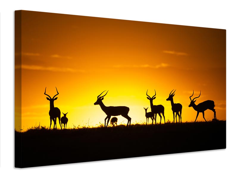 canvas-print-just-a-sunset-x