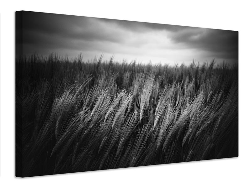 canvas-print-just-grow-x