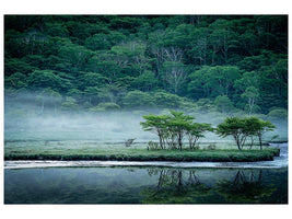 canvas-print-kakumanbuchi-marsh-x