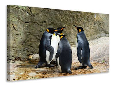 canvas-print-king-penguins