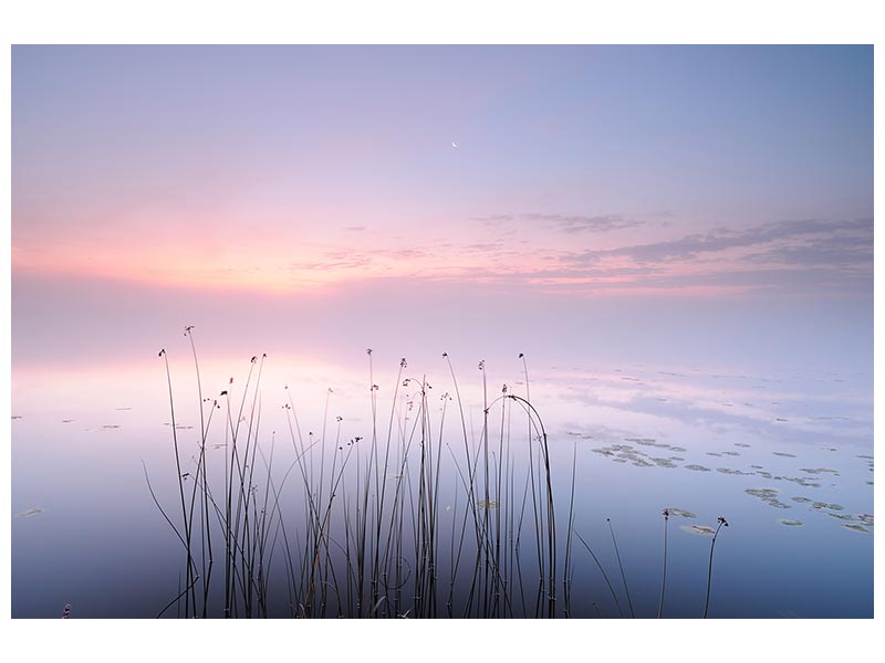 canvas-print-lake-x