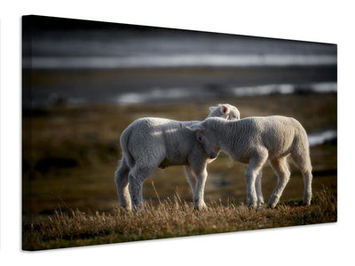 canvas-print-lamb-friends-x