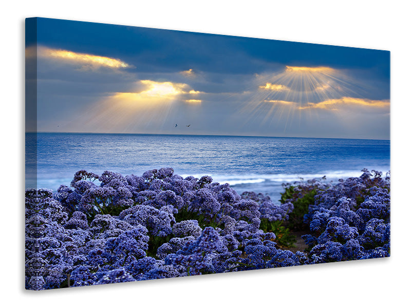 canvas-print-lavender-and-sea