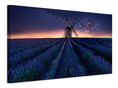 canvas-print-lavender-night-x