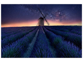 canvas-print-lavender-night-x