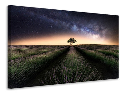 canvas-print-lavender-way