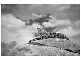 canvas-print-leopard-on-a-kopje-x