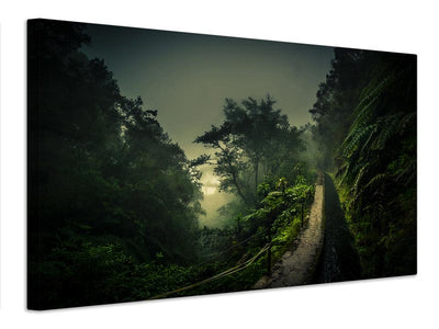 canvas-print-levada-walk-x