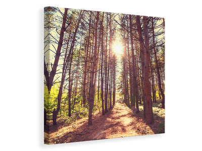 canvas-print-light-at-the-end-of-the-forest-path