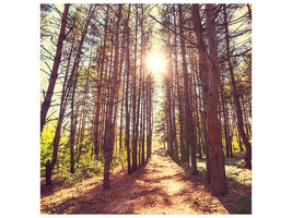 canvas-print-light-at-the-end-of-the-forest-path