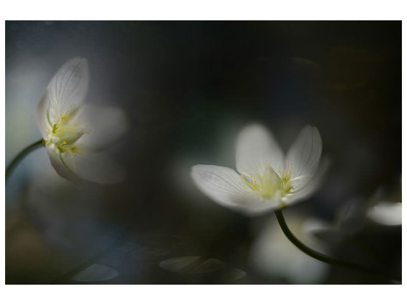 canvas-print-light-in-the-darkness