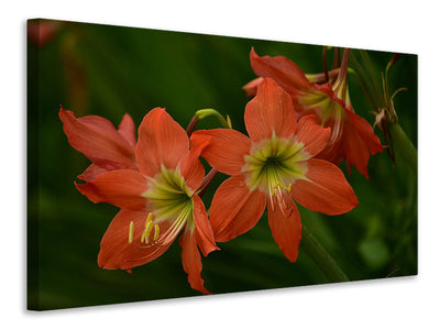 canvas-print-lilies-in-orange