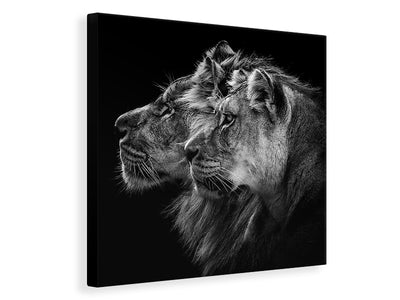 canvas-print-lion-and-lioness-portrait