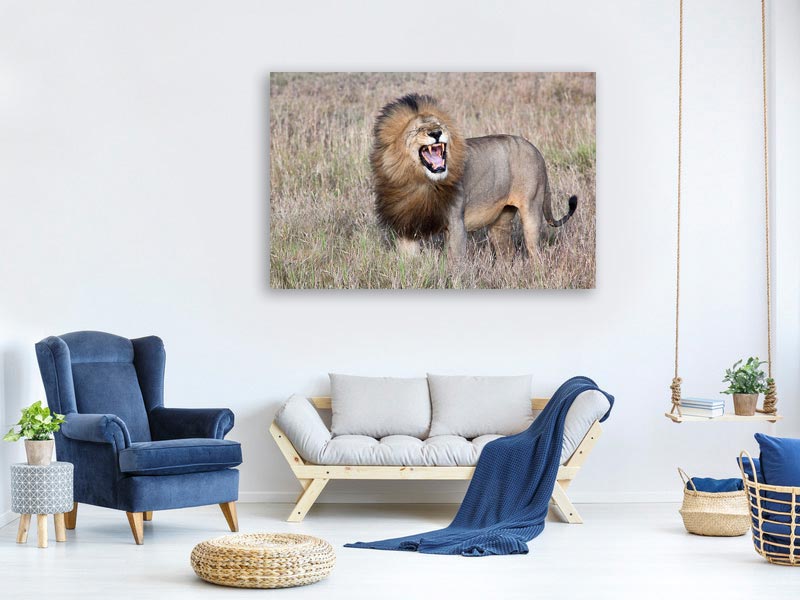 canvas-print-lion-x