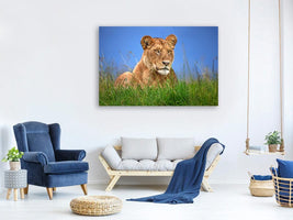 canvas-print-lioness-close-up-x
