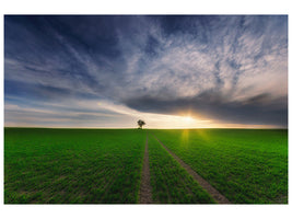 canvas-print-loner-in-the-sun