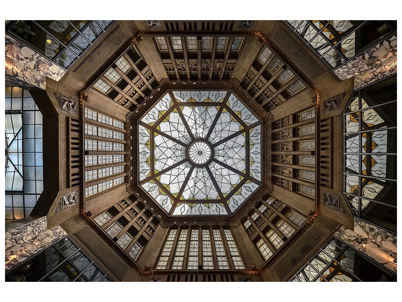 canvas-print-looking-up-ii