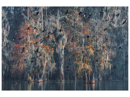 canvas-print-louisiana-x