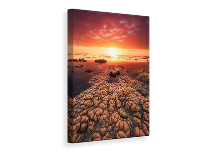 canvas-print-low-tide-on-the-lagoon-of-saint-leu