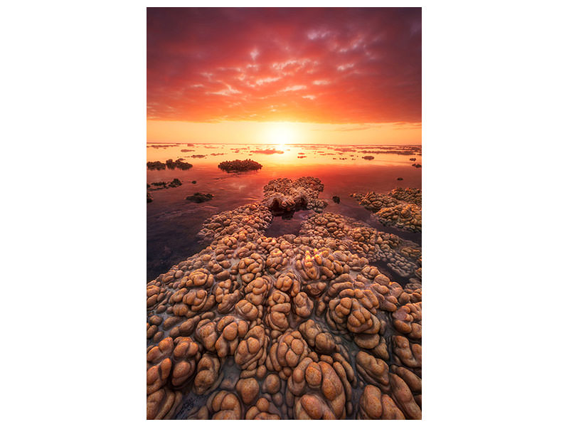 canvas-print-low-tide-on-the-lagoon-of-saint-leu