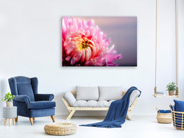 canvas-print-macro-chrysanthemum