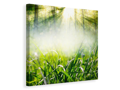 canvas-print-magic-forest