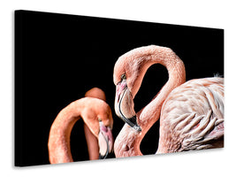 canvas-print-magnificent-flamingos