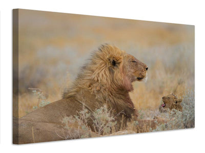 canvas-print-male-lion-with-cub-x