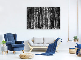 canvas-print-many-birches-xl