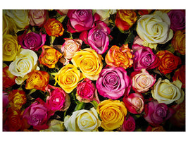 canvas-print-many-colorful-rose-petals