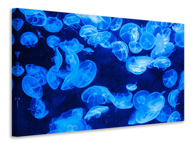 canvas-print-many-jellyfish-in-the-blue-water