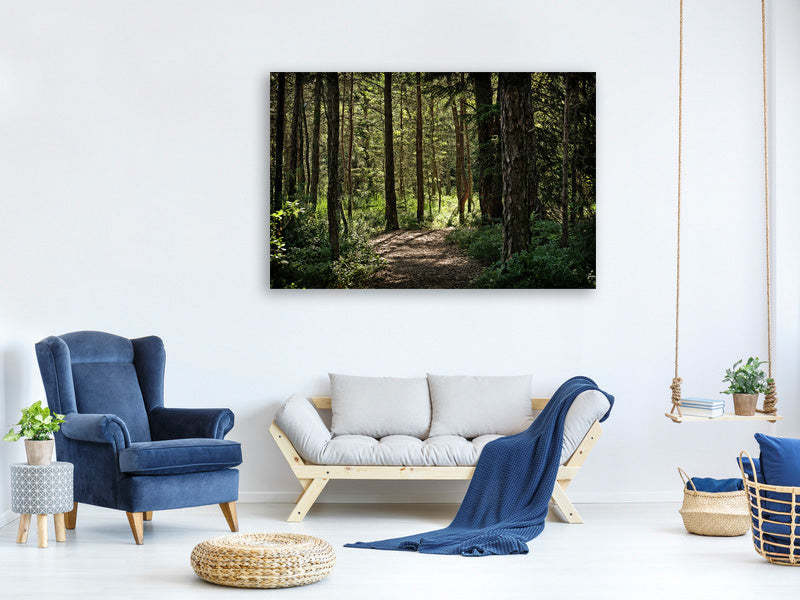 canvas-print-many-trees