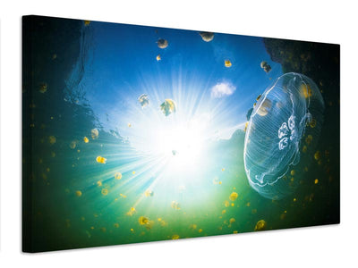 canvas-print-medusa-aurelia-x