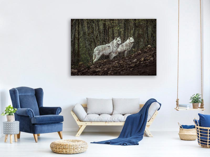 canvas-print-meeting-with-white-wolves-x