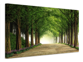 canvas-print-metasequoia-road-x