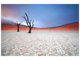 canvas-print-mist-over-deadvlei-x