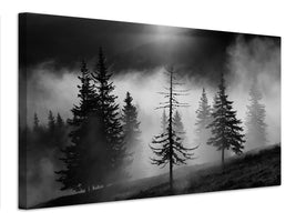 canvas-print-misty-forest-x