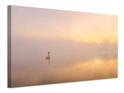 canvas-print-misty-morning-xmy