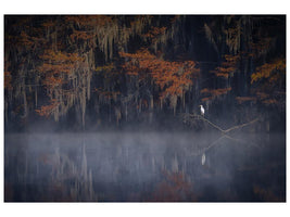 canvas-print-misty-morning-xzt