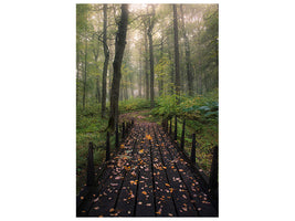 canvas-print-misty-morning