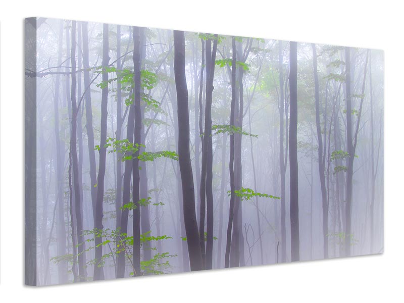 canvas-print-misty-x