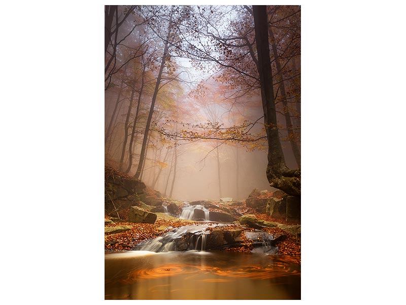 canvas-print-mistyc-mist-x