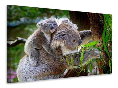 canvas-print-mom-and-baby-koala